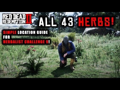 Red Dead Redemption 2 - How To Find All 43 Flowers Orchids! SIMPLE Location Guide! -