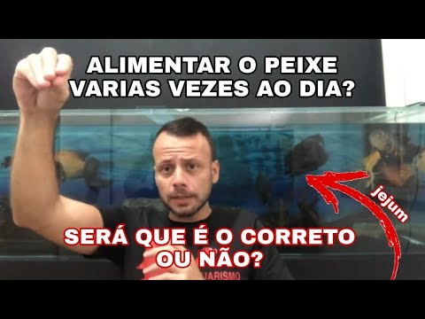 Vídeo: É Possível Comer Peixe Durante O Jejum Da Natividade