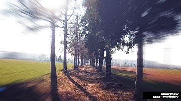 Trees Flow / Fpv freestyle #fpv #dronevideo