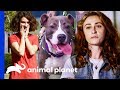 Will Polo Be The Perfect New Playmate For This Family? | Pit Bulls & Parolees