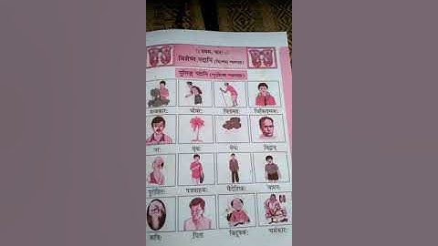 Class 7 Sanskrit (বিশেষ্য পদানি)--AKS