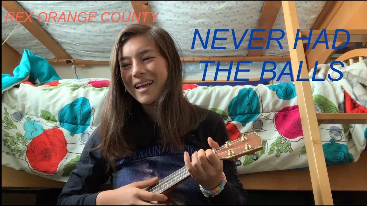 Rex Orange County Never Had the Balls - Cover