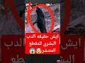 ايش حقيقه مقطع الدب البشري Shortvideos Youtubeshorts قصص قصص Saudi Tiktok Scary دب Animals 