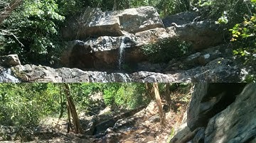 Đi theo dòng suối một mình trong rừng, cảnh đẹp thác nước núi rừng, Câu cá giải trí