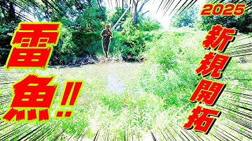 新潟雷魚☆新規開拓‼カバーに覆われたフロッグのバイトがハンパねぇ池クソ交通量が激しすぎるクリーク‼【予告動画】snakehead fishing