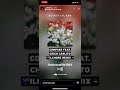 illmore(insta story)