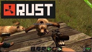 16-тый клик: Rust | Как сделать коврик из медведя!