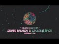 Silver ivanov charlie spot  chain reaction original mix