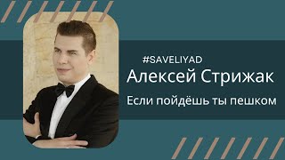 Алексей Стрижак  Если / Михаил Щербаков / Если Пойдёшь Ты Пешком Через Ручей К Развилке #Saveliyad