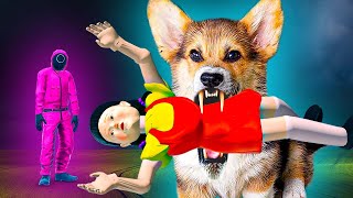Я УНИЧТОЖИЛ КУКЛУ ИЗ ИГРЫ в КАЛЬМАРА!! (Корги Кекс) Говорящая собака Я УНИЧТОЖИЛ КУКЛУ ИЗ ИГРЫ в КАЛЬМАРА!! (Корги Кекс) Говорящая собака