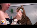 Cat Is VERY Involved In His Mom&#39;s Daily Routine | The Dodo