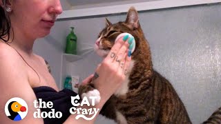 Cat Is VERY Involved In His Mom's Daily Routine | The Dodo