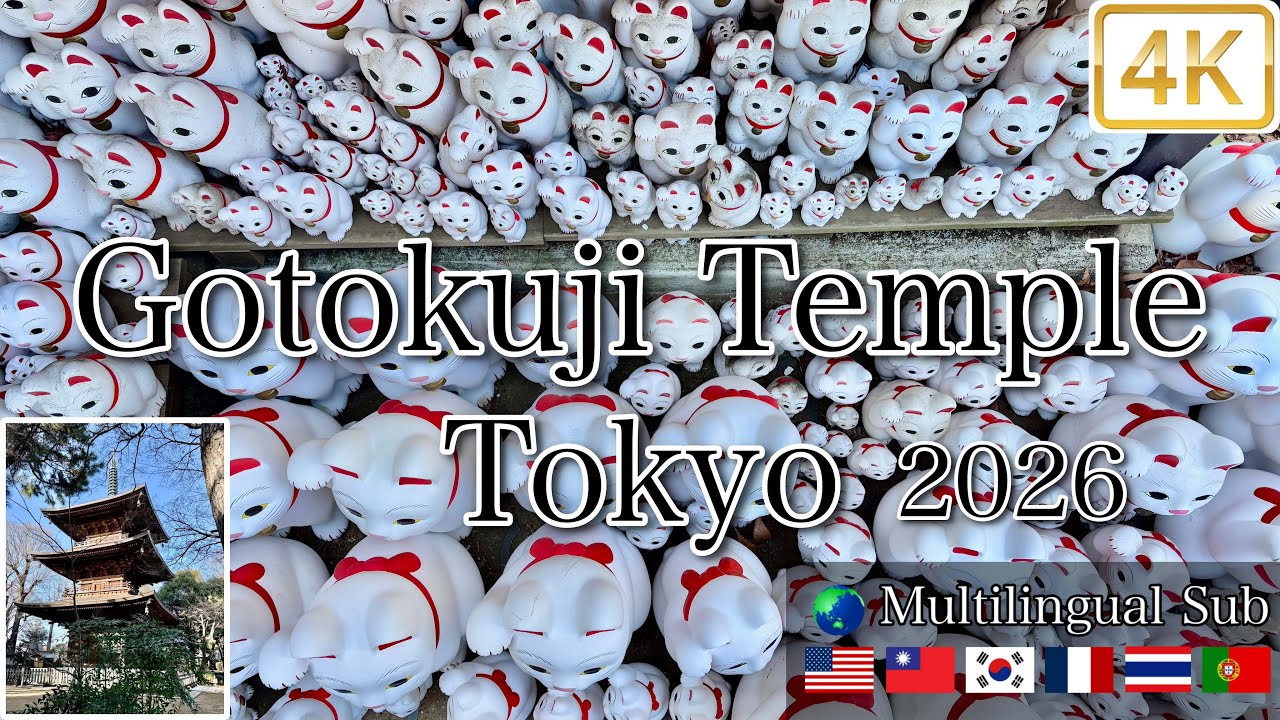 Gotokuji Temple 2026 豪徳寺 – A Hidden Gem in Tokyo | Maneki-neko 4K