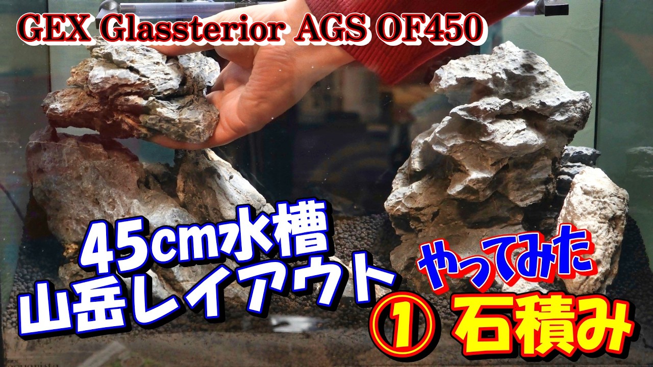 【初心者】45cmオーバーフロー水槽立ち上げ！青龍石で山岳レイアウト