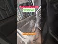 Car Steam Bath 👆🏻❤️ #prodetailers #latur #car #viralvideo #cars #music #tranding