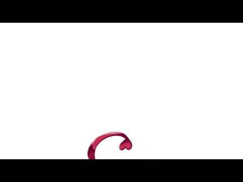 【转载】【新科娘三代目合集】12.【直播切肉】桃子管饱的轮椅娘（蓝屏警告）(Av78238687,P1)