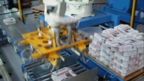 JMP ENGINEERING - Robotic Palletizing of Loose Bundles of Paper Bags
