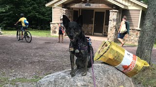 Ricketts Glen State Park Campground Site Review