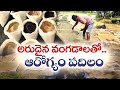 Natural Farming Revolution in Chittoor | Farmers Build Seed Bank