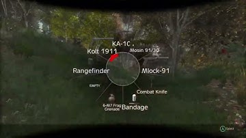 The average dayz run. part 1. Not dead yet