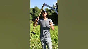 Хватит косить траву газонокосилками!