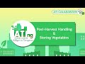 Post-Harvest Handling & Storing Vegetables