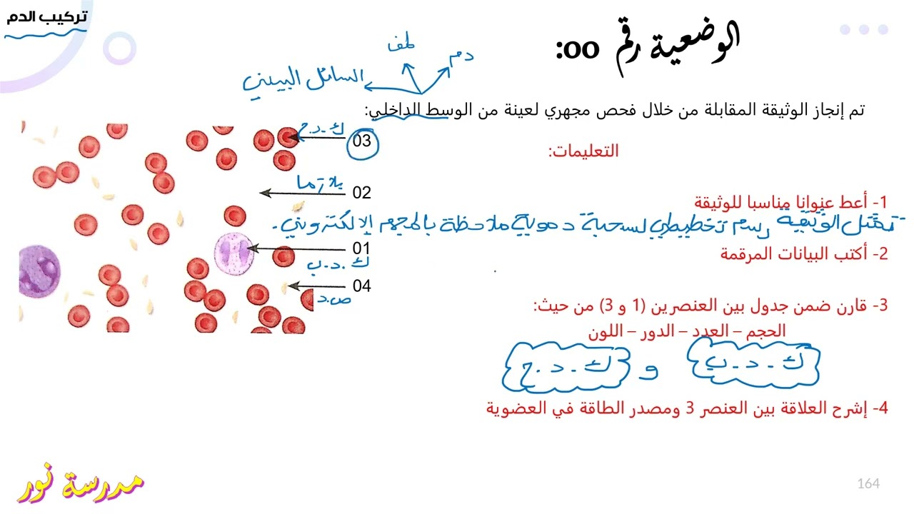 تمرين حول تركيب الدم والمقارنة بين مكوناته علوم طبيعية سنة 04 متوسط