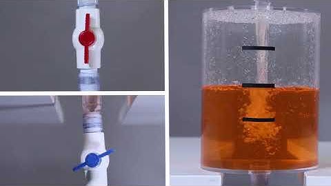 Stability and Change