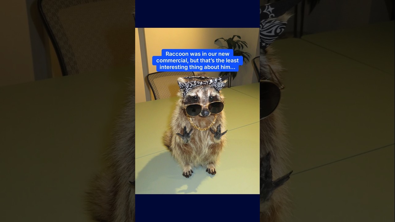 Homemade Hip-Hop Taxidermy? Zoom Got it Done.
