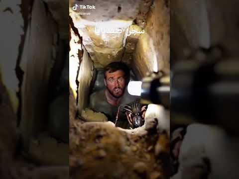 سجن صيدنايا عنداما تعيش وحيد