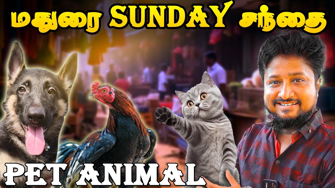 குறைந்த விலையில் Pet Animals வாங்கலாம் | Sunday Pets Market In Madurai