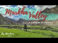 Valle de markha  un paradis au ladakh  trekking dans lhimalaya du ladakh  vlog de voyage
