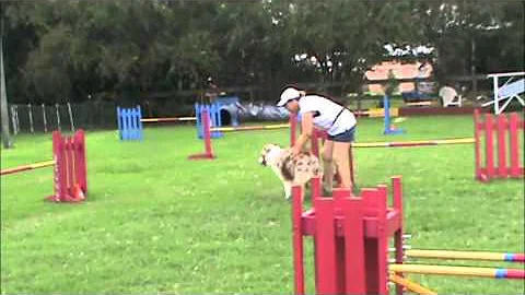 Renee King Clinic 9-18-10 Bobbie & Sweet Pea #1