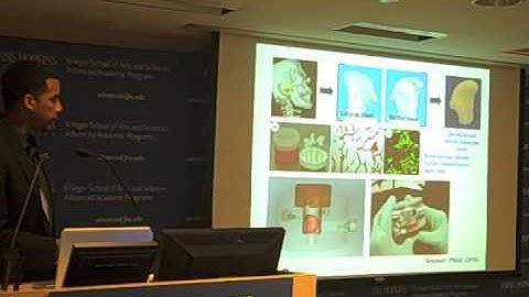 Building Bone in Bioreactors, Part I