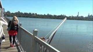 Moments with Dean: My Trip to Pier 115 in Edgewater, NJ