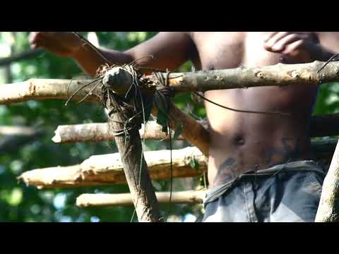 primitive-tech-bamboo-forest--