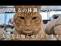 らんまるの体調についてのお知らせ
