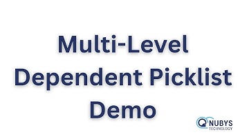 Multi-Level Dependent Picklist Demo