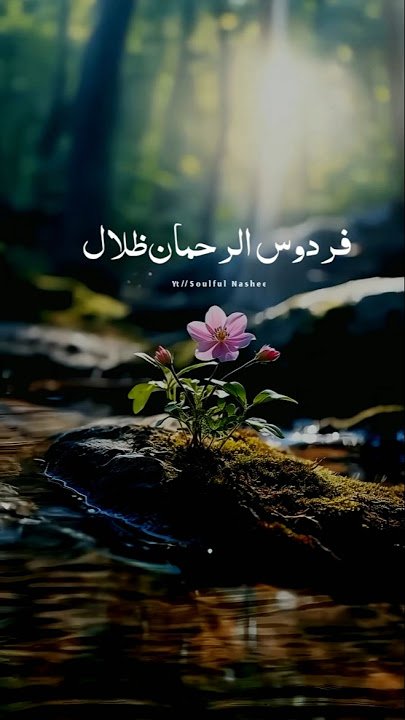 Arabic Nasheed || Firdous'ur Rahman zilal #shots #ytshorts #arabic #nasheed