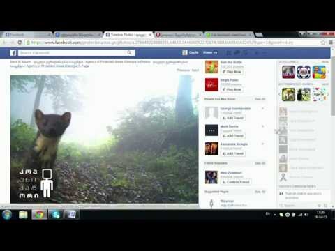 ფოტოხაფანგით გადაღებული კვერნა