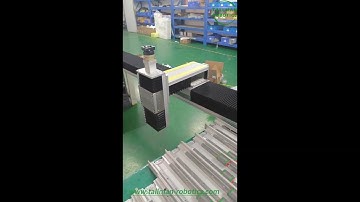 TallMan Robotics: XYZ Linear Modules,XYZ Linear Robot System