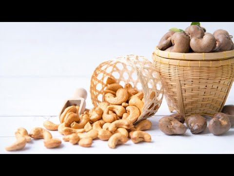 فوائد الكاجو الصحية