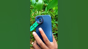 Macro Photography 📷 💚💥#macro #macrophotography #macroworld #macrocapture #nature #naturephotography