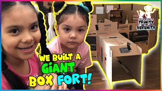 We built a GIANT BOX FORT!!!