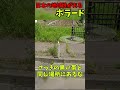 【Geoguessr】日本で地域性があるボラード#geoguessr