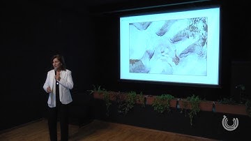 «Բագինքն հայոց ի Պորտասար» |"The Armenian Altars in Portasar"