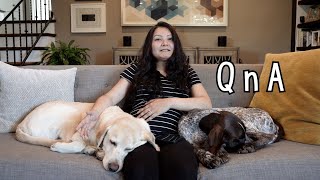 Q&A | Baby News, How are the dogs reacting?