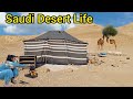 Most impressive desert life in saudi arabia  stunning life