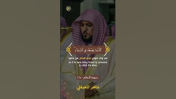 ماهر المعيقلي | تلاوة هادئة | سورة الأنعام | تەفسیری کوردی #quran #foryou #viral #ماهر_المعيقلي #fyp