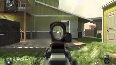 Call of duty Black Ops - Red dot sight vs Reflex sight